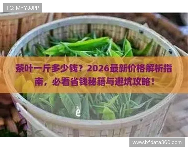 买球注册平台避坑指南彩票数字高频玩法防骗提现快